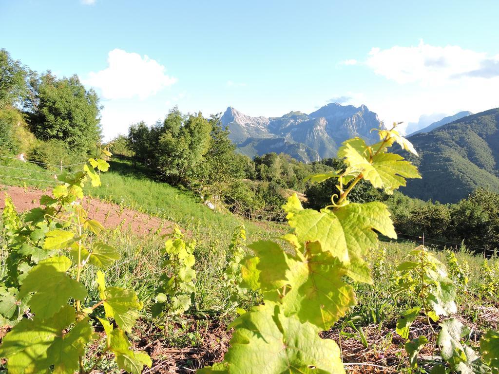 Rifugio Alpi Apuane Hotel Careggine Luaran gambar